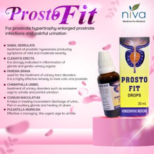 prosto fit copy