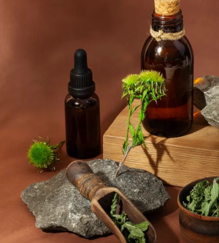 herbal medicine with plants assortment high angle